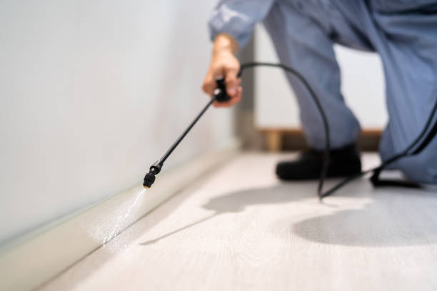Licensed Termite Control service in Luray, VA - Nex Pest Control