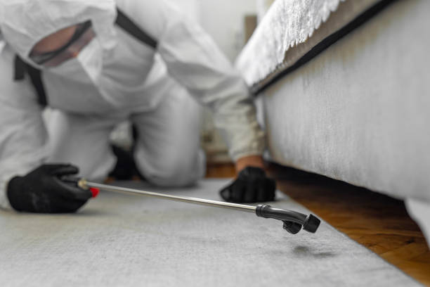 Professional Termite Control technician working in Luray, VA
