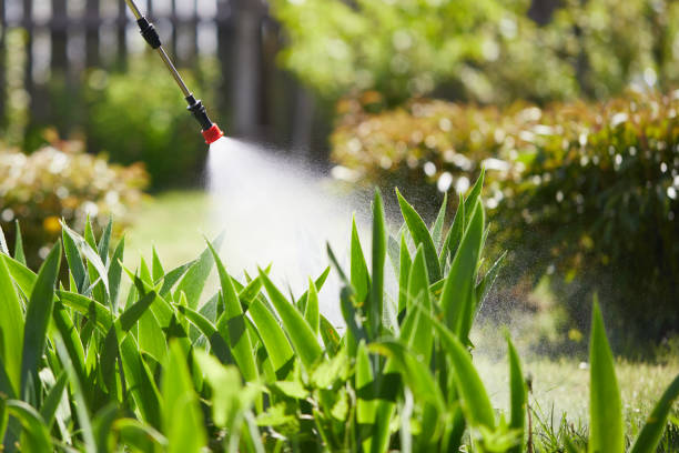 24/7 Emergency Termite Control experts in Luray, VA