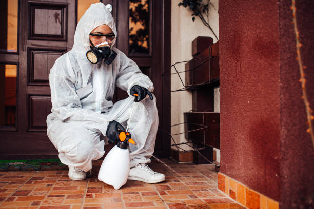 Reliable Termite Control contractor in Luray, VA by Nex Pest Control