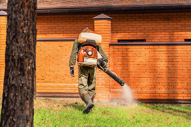 Top rated local Termite Control specialists in Luray, VA